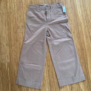 High Rise, Wide Leg Pants in Clay/Brown- NWT